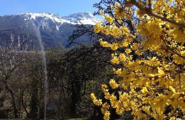 Appartements Kortscherhof - Foto 40