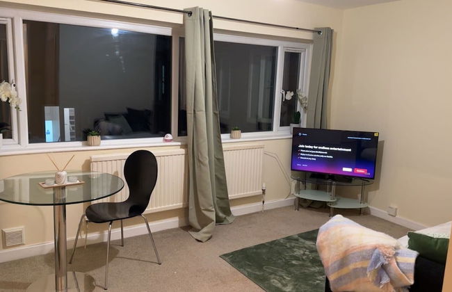 Modern Apt - City Views - Parking - Sleeps 3 - Photo 4