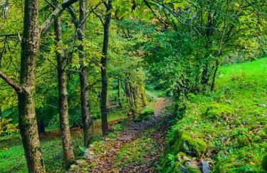 La Cà Granda, quiet house with mountain views - Photo 65