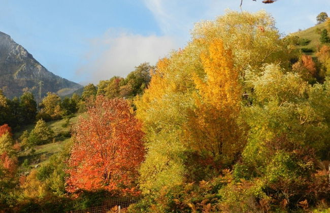 Saecula Natural Village Experience - Foto 65