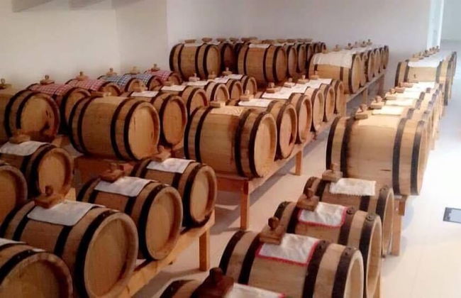 Pianderna Agriwellness - Foto 19