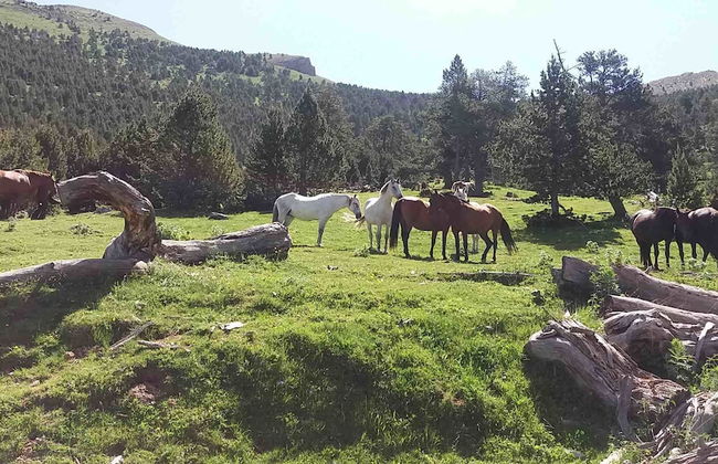 Apartaments Morelló - Photo 27