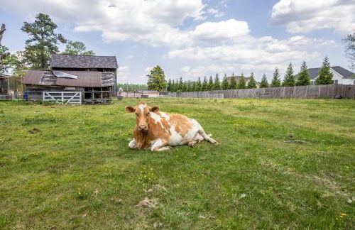 Watch Deer from a Farm Cottage - Foto 47