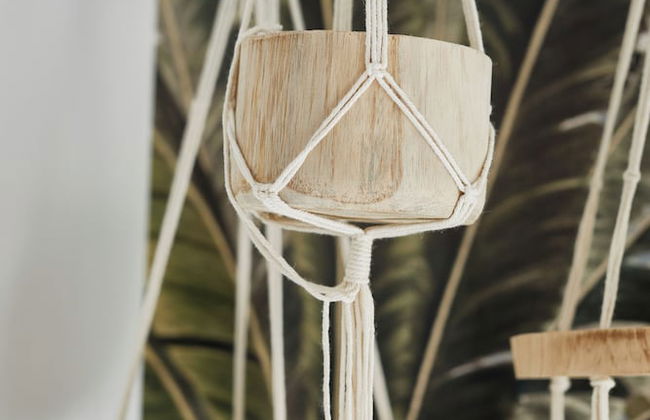 Humboldt41 - Foto 13