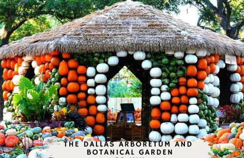 Modern 4BD Best in the West Dallas Area - Foto 28