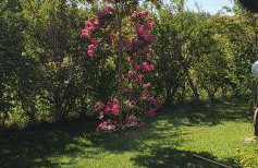 Villa Leone - Photo 45