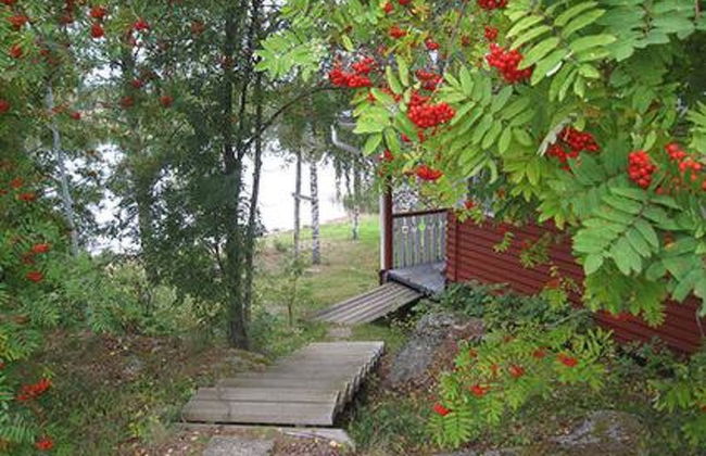 Viljamaan lomamökit 2 - Foto 19