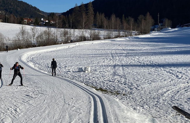 Holiday Home Seeboden Near Ski & Lake Views - Foto 21