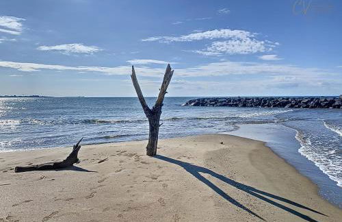 Petit coin de paradis dans résidence avec piscine - Foto 27