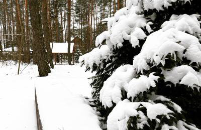 Masuria Warsaw - dom na wyłączność - w lesie i przy rzece - 15 min od Warszawy - Foto 77