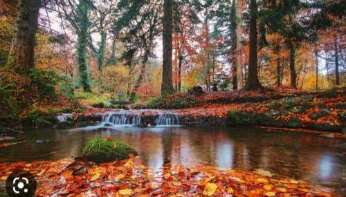 Lakeland Lodge - Foto 3