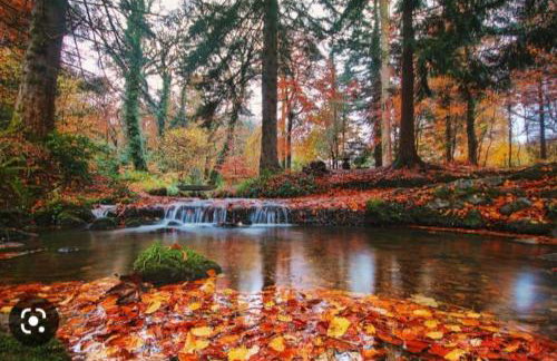 Lakeland Lodge - Foto 3