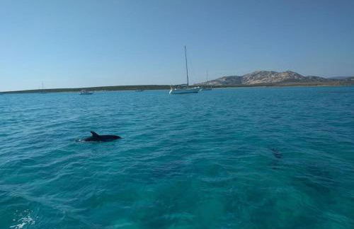 Panoramic villa on top of Capo Falcone - Foto 58