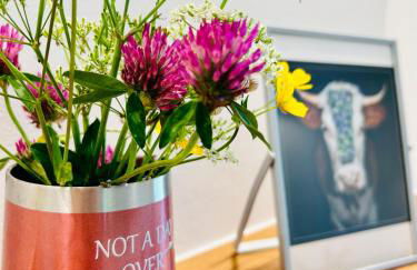 Ferienwohnung Fuchsfelsen, perfekt für Familien mit Kindern - Foto 13