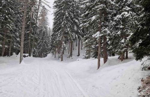 Ristrutturato in Nevegal a 20 minuti da parcheggio per Cortina - Foto 21