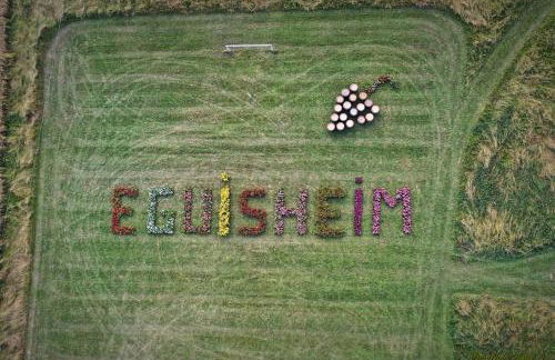 Gite Edelweiss à Eguisheim - Foto 55