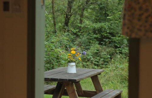 Cosy Shepherd's Hut with Hot Tub - Foto 6