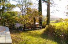 Sea Moss Cabin - Foto 46