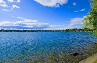 Dopamine Design 3BR 2025 Remodel & Kids Zone - Foto 50