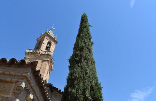 Patio San Andrés -2 llaves- - Photo 38