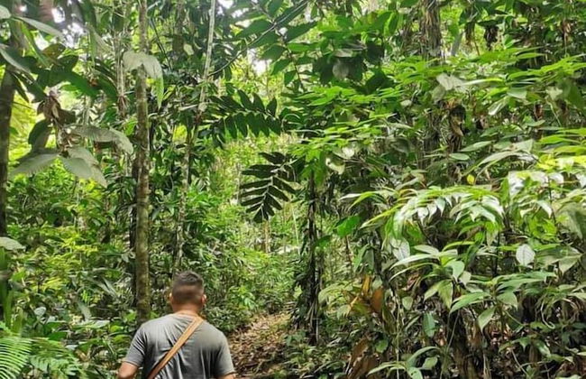 Bribri Ù sule - Foto 12