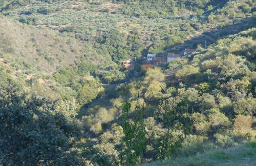 Casa do Souto - Foto 25