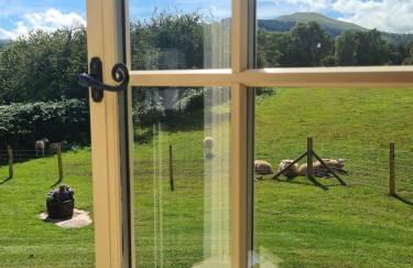 Shepherd's Hut in heart of the Brecon Beacons - Photo 18