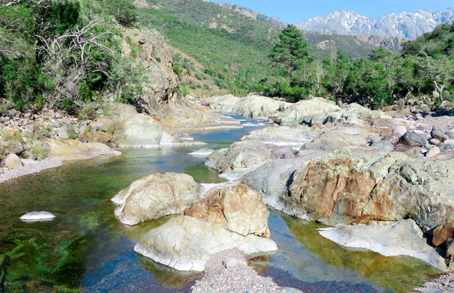 Primavera - Photo 18