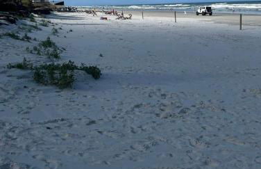 Ocean Beach Club - Foto 18