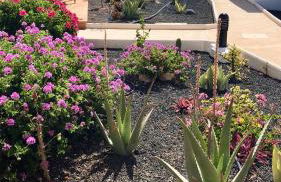 La Casita Sun Beach - Photo 37