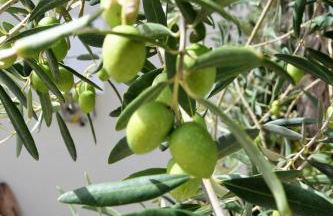 Casa le Gebbie - Photo 13