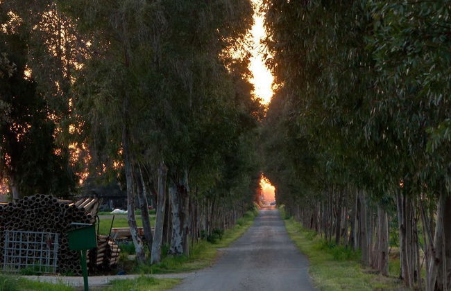 Agriturismo Magnaboschi - Photo 2