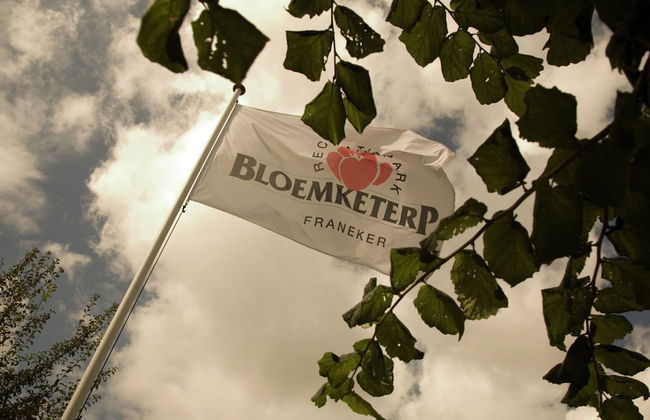 Nice House With a Dishwasher, Located in Friesland - Foto 13