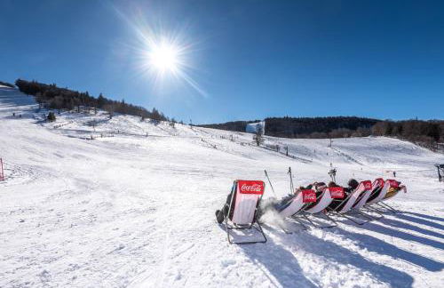 GITE DES 3 JONQUILLES - Foto 13