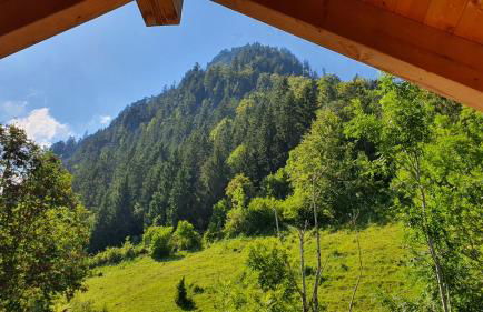 Kienberghäusle - Foto 31