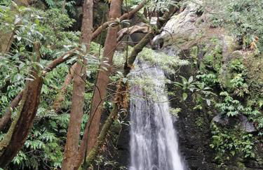 Casa do Monte - Photo 64