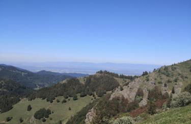 Ferienwohnung Belchenliebe - Foto 17