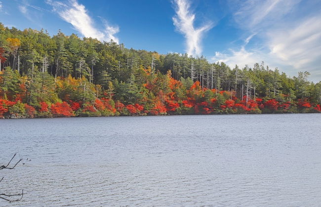 Tateshina Wanwan Paradise Cottage - Foto 34