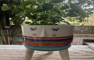 Cabana Bonato - Photo 66