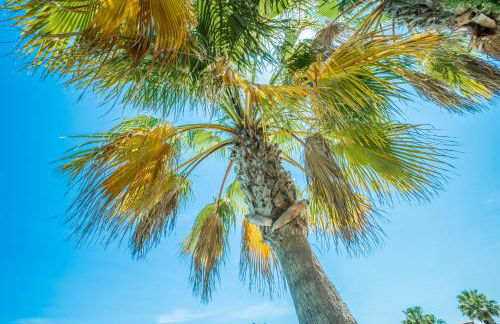 Casa Frederyk - Foto 36