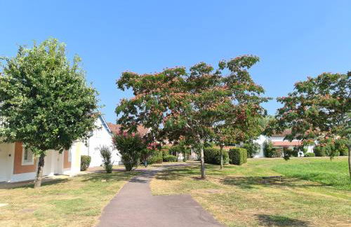 Location Maison Meublée Marciac - Photo 32