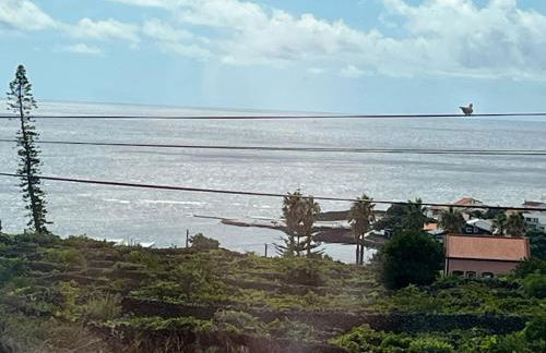 Cantinho da Maresia - Foto 56