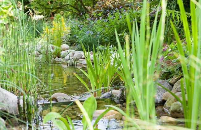 Exklusive Ferienzimmer Gut Heidefeld - Foto 22