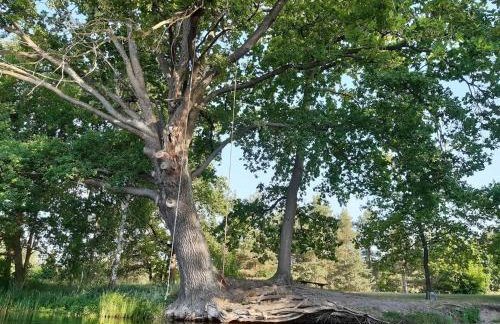 Ferienhäuser im Sternenpark - Photo 70