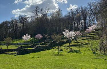 Château de la rivière - Foto 33