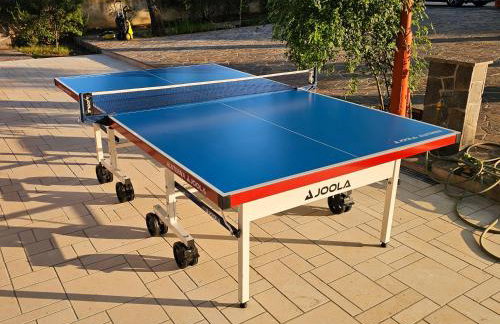 Villa Kučan - Foto 51