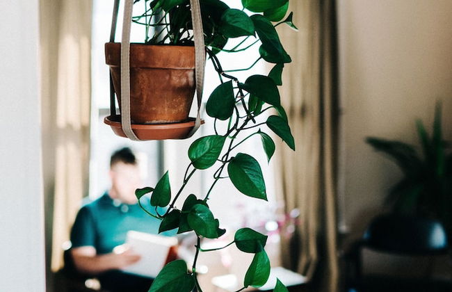 Hy Lytham St Annes - Foto 51