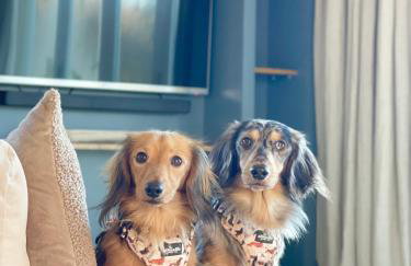 Luxury Boutique retreat, hot tub, dog friendly - Foto 72