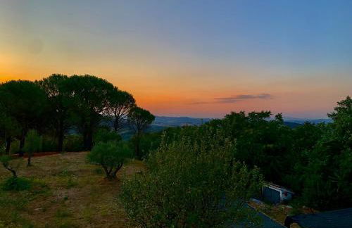 La casa del timo - The house of thyme - Foto 28