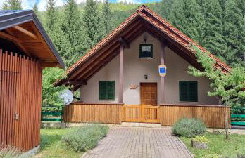 Ellen-Lara - Foto 35